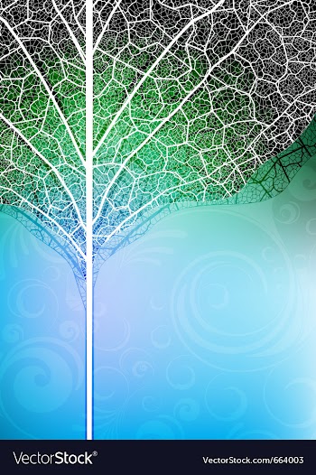 Creative banner vector image