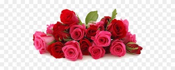 Creative Flowers By Amodio's Is A Full Service Flower - Pink And Red Roses