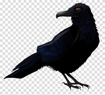 Creative halloween crow transparent background PNG clipart