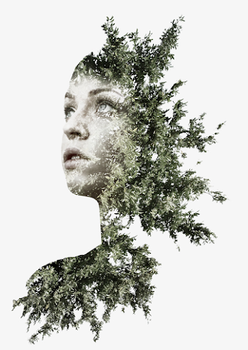 Creative Illustration Of Face Covered With Trees, Face Clipart ...