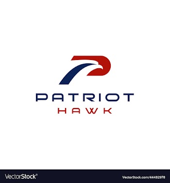 creative modern initial letter p eagle head logo