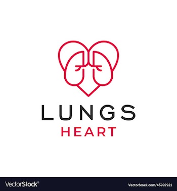 creative modern unique lungs heart in linear style