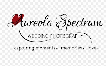 Creative Wedding Photographers In Monroe, Nc - North Carolina