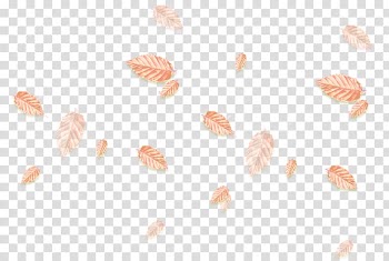 Creativity Designer, Falling leaves transparent background PNG clipart