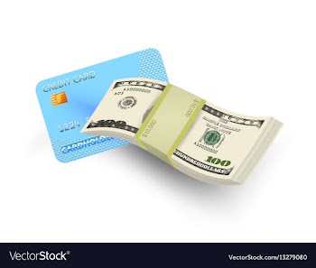 Credit card money vector image