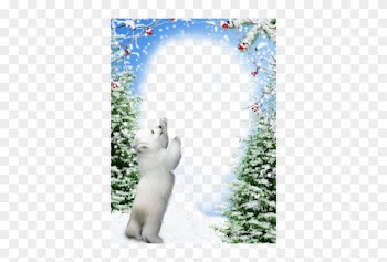 Credit To - Imikimi Winter Frames