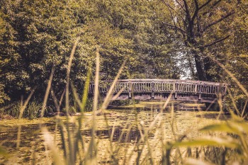 Creek Bridge Free Photo 