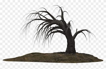 Creepy Tree 19 By Wolverine041269 On Clipart Library - Dead Tree Png