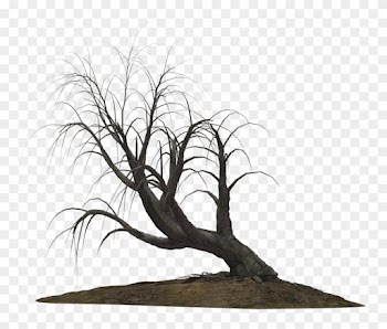 Creepy Tree 21 By Wolverine041269 On Clipart Library - Creepy Trees Png
