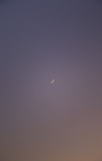 Crescent Moon 