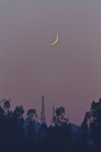 Crescent Moon during Night