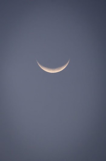 Crescent Moon in The Blue Sky · Free Stock Photo