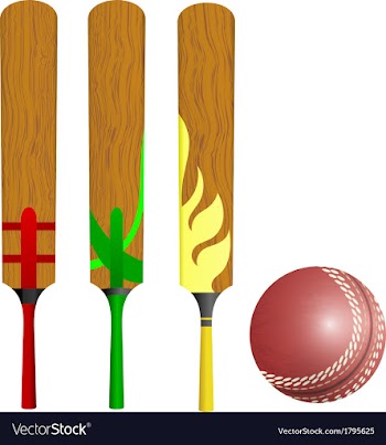 Cricket bats and ball vector image