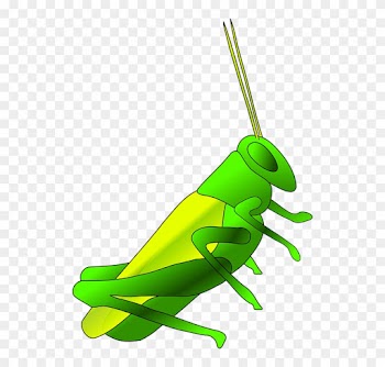 Cricket Clip Art - Crickets Clipart