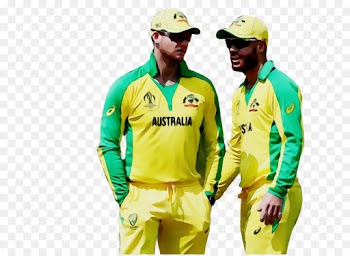 Cricket, Tshirt, Sleeve, Cricketer PNG