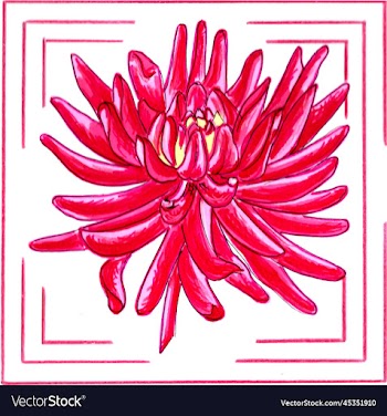crimson dahlia in a frame