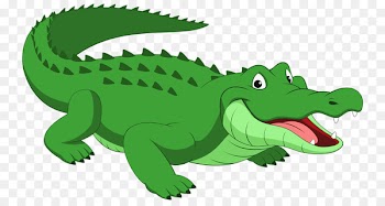 Crocodile Alligator Reptile Cartoon - Green crocodile 