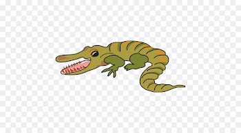 Crocodile Alligators Portable Network Graphics Clip art Image - crocodile 