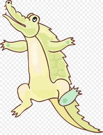 crocodile crocodilia cartoon alligator reptile