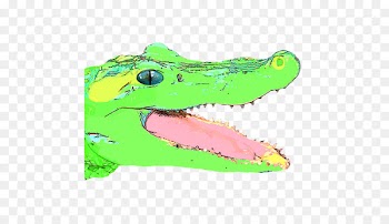 Crocodile Illustration Graphics Shoe Fauna - crocodile 