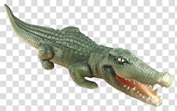 Crocodile PNG Transparent Image