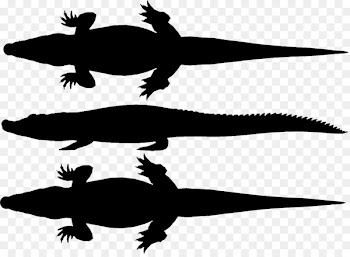 Crocodiles Turtle Amphibians Fauna Clip art -  
