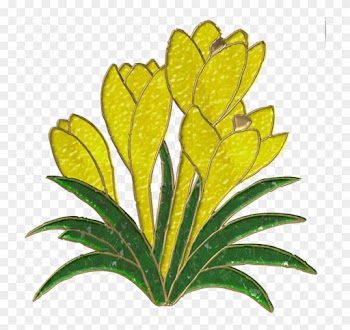 Crocus 800*764 Transprent Png Free Download - Crocus 800*764 Transprent Png Free Download