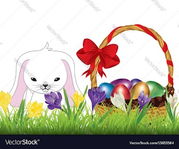Crocus and easter rabbit vector image