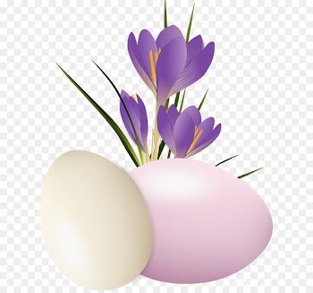 Crocus vernus Crocus flavus Crocus chrysanthus Clip art - happy spring! 
