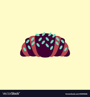 Croissant vector image