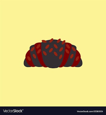 Croissant vector image