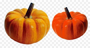 Crookneck pumpkin Vegetable Turban squash Auglis - pumpkin 