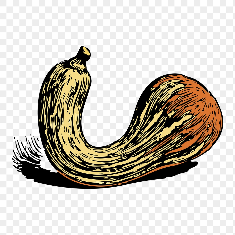 Crookneck squash png sticker, vegetable | Free PNG - rawpixel