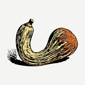 Crookneck squash sticker, vegetable vintage | Free PSD - rawpixel