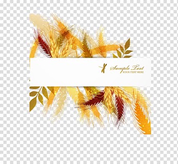 Crop , Hand autumn harvest wheat transparent background PNG clipart