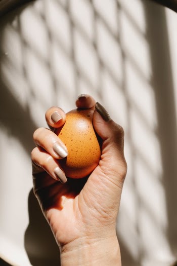 Crop unrecognizable woman grasping brown egg · Free Stock Photo