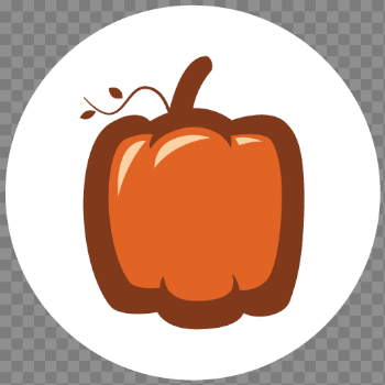 cropped-favicon.png - Great Pumpkin Run
