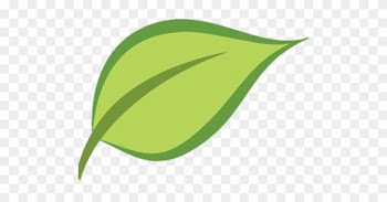 Cropped New Leaf Recovery Favicon 512×512 - Leaf Favicon