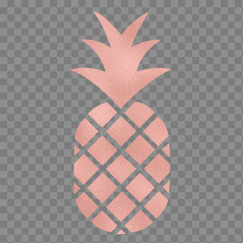 cropped-Rose-Gold-Pineapple.png