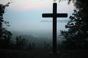 cross in dense forest with fog
