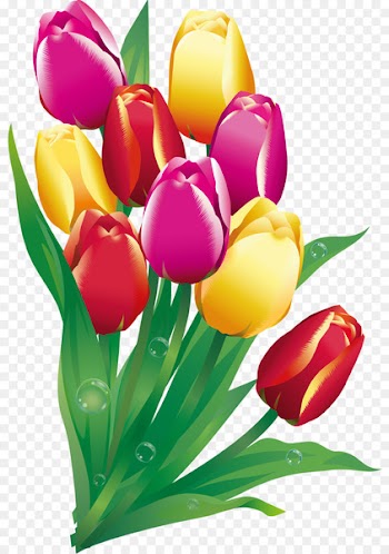 Cross-stitch Clip art Embroidery & Cross Stitch Image - tulip 