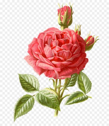 Cross-stitch Flower bouquet Rose Pattern - Bouquet of red roses 