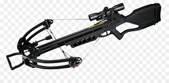 Crossbow Bow and arrow Archery Compound bow Dry fire - Compound Crossbow Gladiator Gladiator 