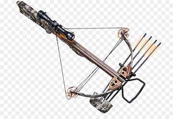 Crossbow Compound Bows Hunting Price - bow 