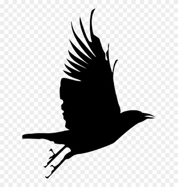 Crow Clipart Transparent Background - Raven Silhouette Png