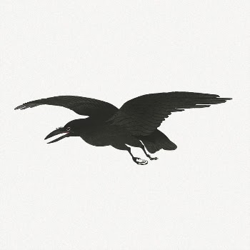 Crow collage element, black bird | Free PSD Illustration - rawpixel