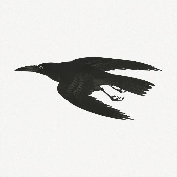 Crow collage element, black bird | Free PSD Illustration - rawpixel