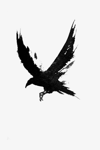 Crow, Hand Painted Crow, Black Crow, Cartoon Crow PNG Image and ...