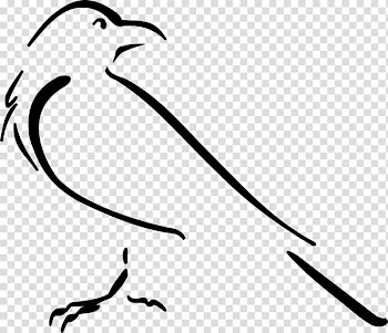 Crow Line art Drawing , crow transparent background PNG clipart