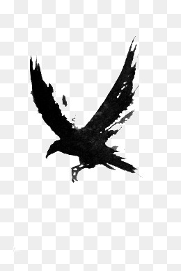 Crow Png, Vectors, PSD, and Clipart for Free Download | Pngtree